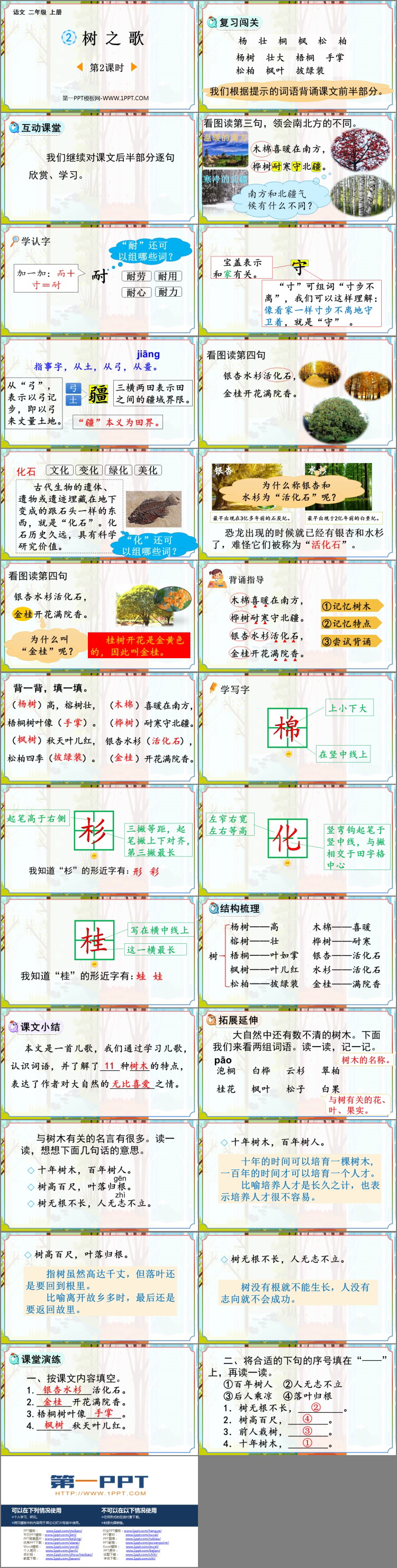 图片[2]-《树之歌》PPT免费课件(第2课时)-第一PPT