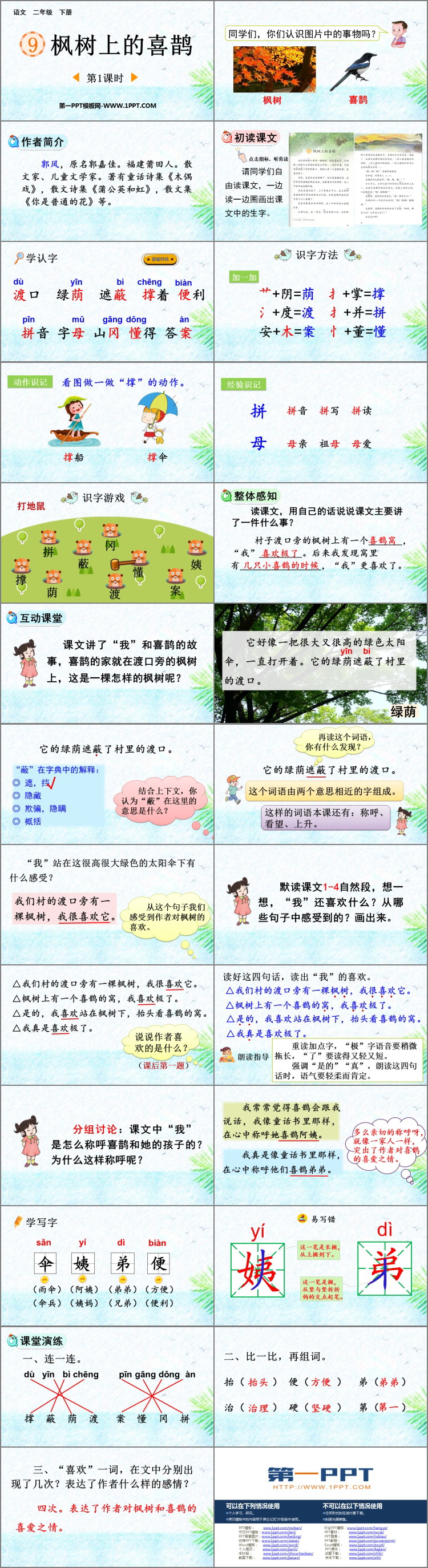 图片[2]-《枫树上的喜鹊》PPT课件下载(第1课时)-第一PPT