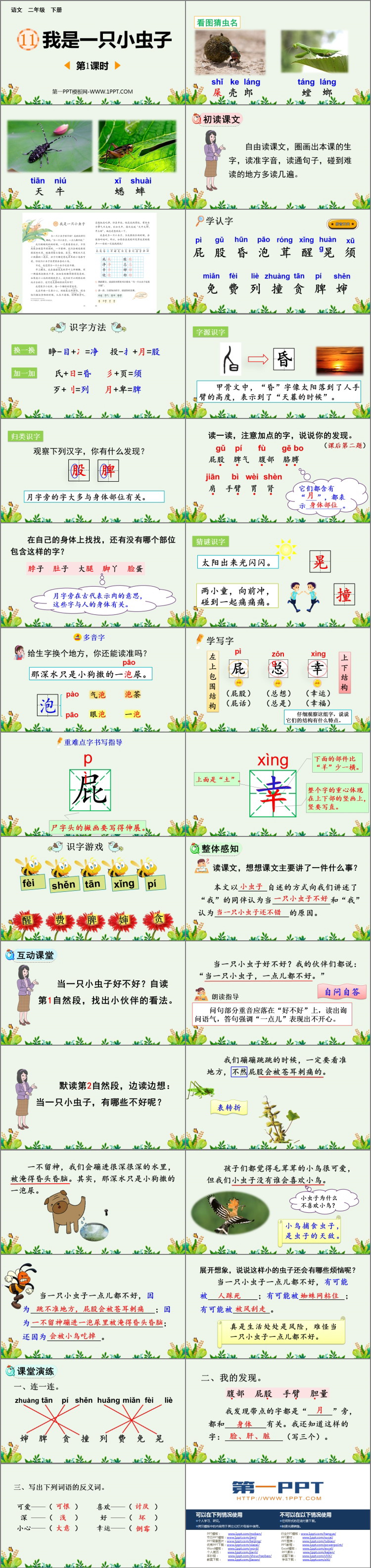 图片[2]-《我是一只小虫子》PPT课件下载(第1课时)-第一PPT