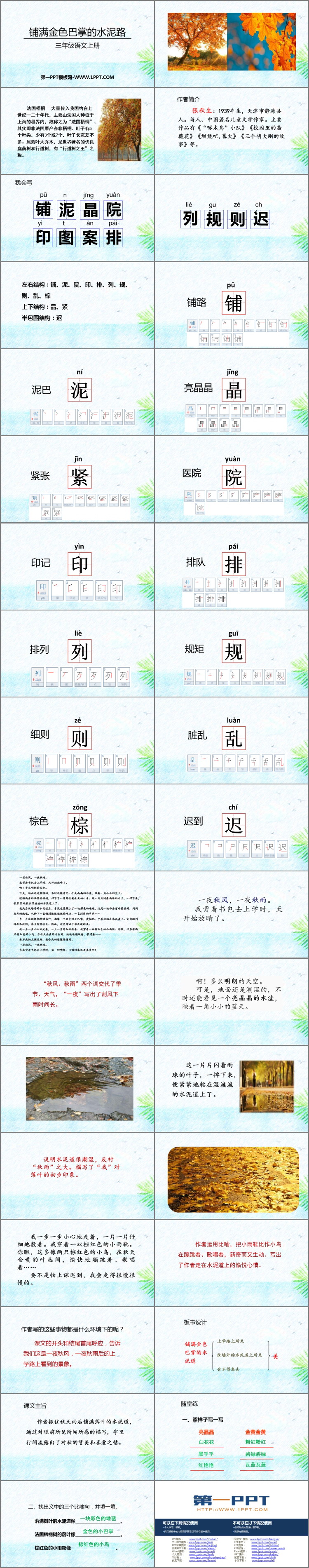 图片[2]-《铺满金色巴掌的水泥道》PPT优秀教学课件-第一PPT