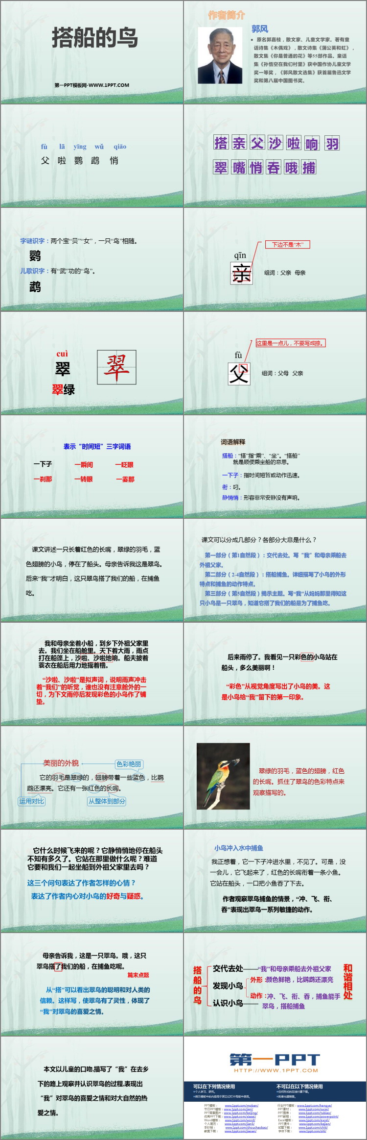 图片[2]-《搭船的鸟》PPT免费教学课件-第一PPT