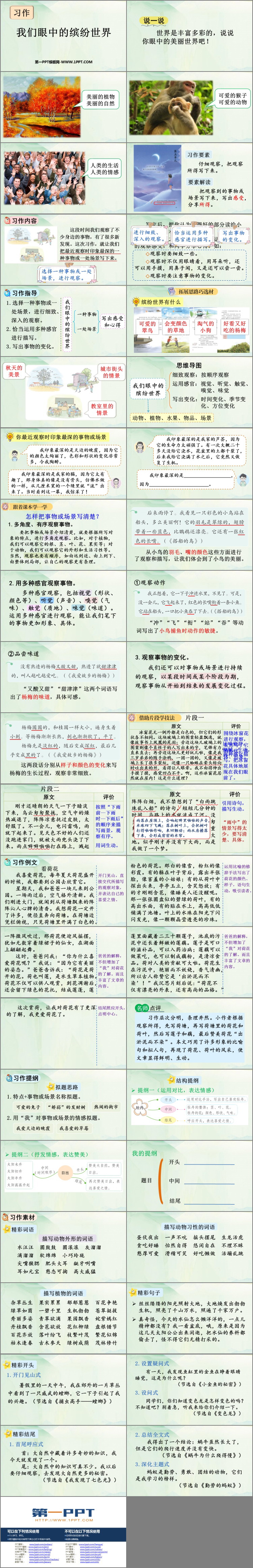 图片[2]-《习作：我们眼中的缤纷世界》PPT精品课件-第一PPT