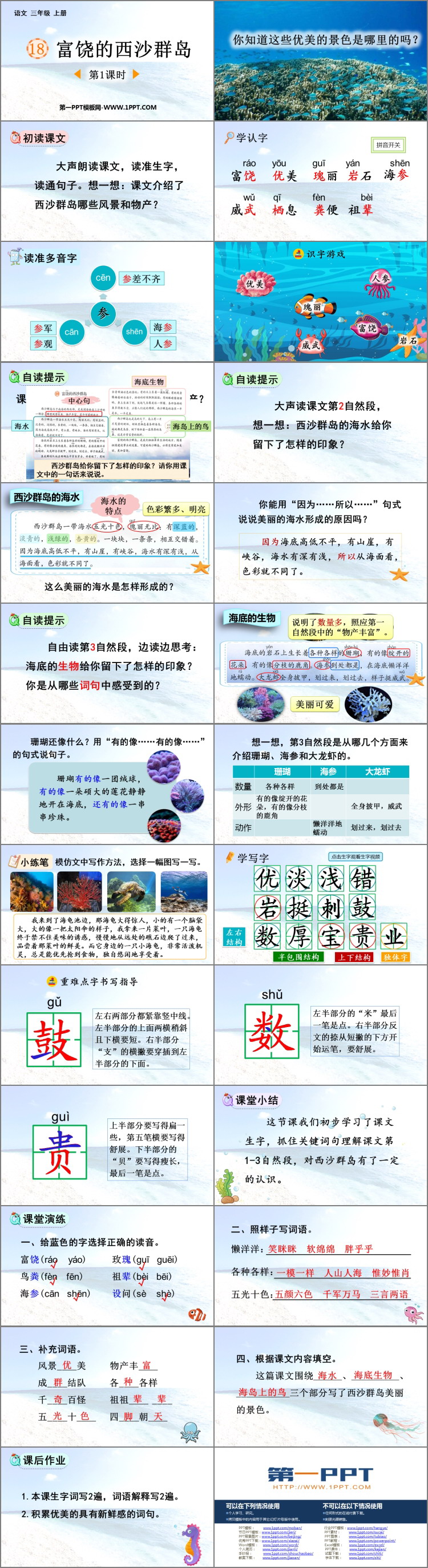 图片[2]-《富饶的西沙群岛》PPT免费课件(第1课时)-第一PPT