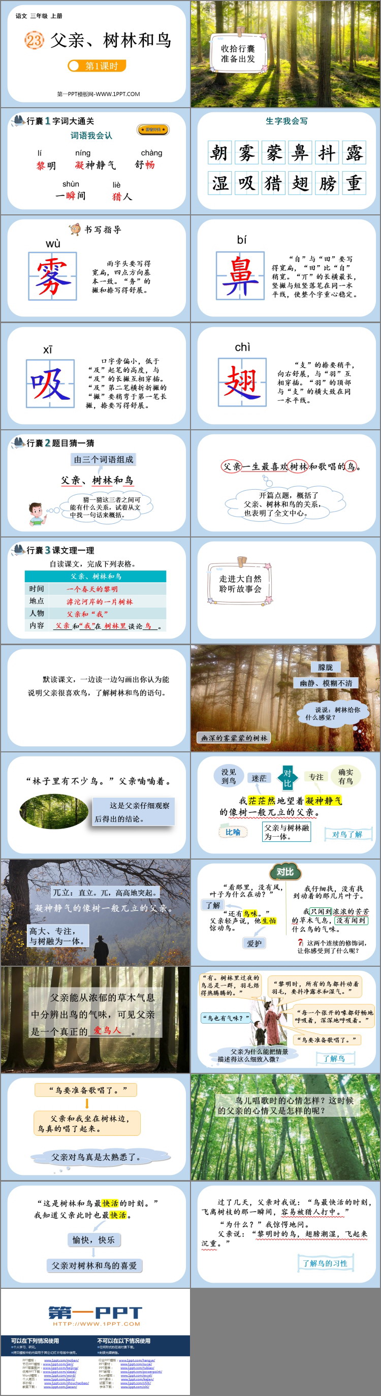 图片[2]-《父亲、树林和鸟》PPT课件下载(第1课时)-第一PPT
