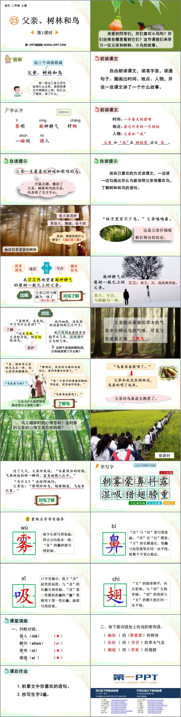 图片[2]-父亲树林和鸟-第一PPT