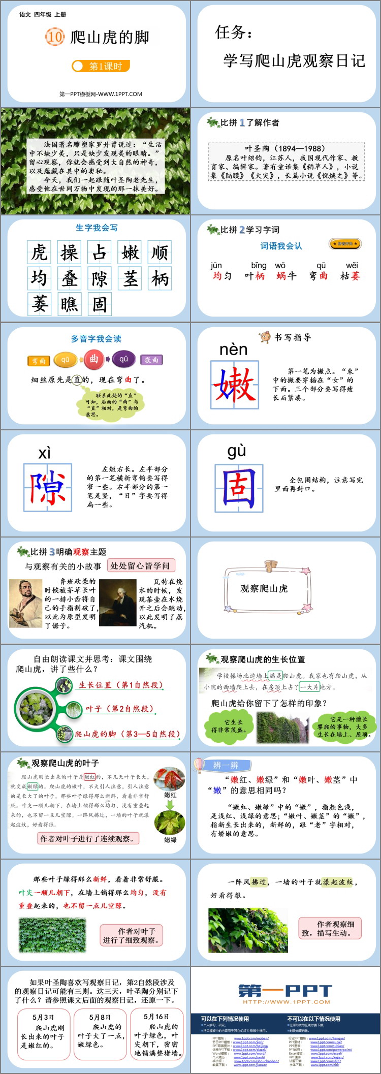 图片[2]-《爬山虎的脚》PPT免费课件(第1课时)-第一PPT