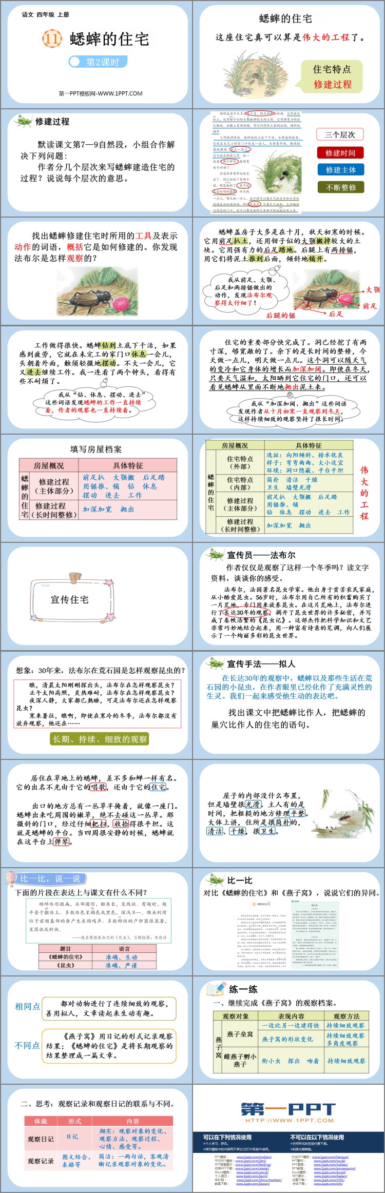 图片[2]-《蟋蟀的住宅》PPT课件下载(第2课时)-第一PPT