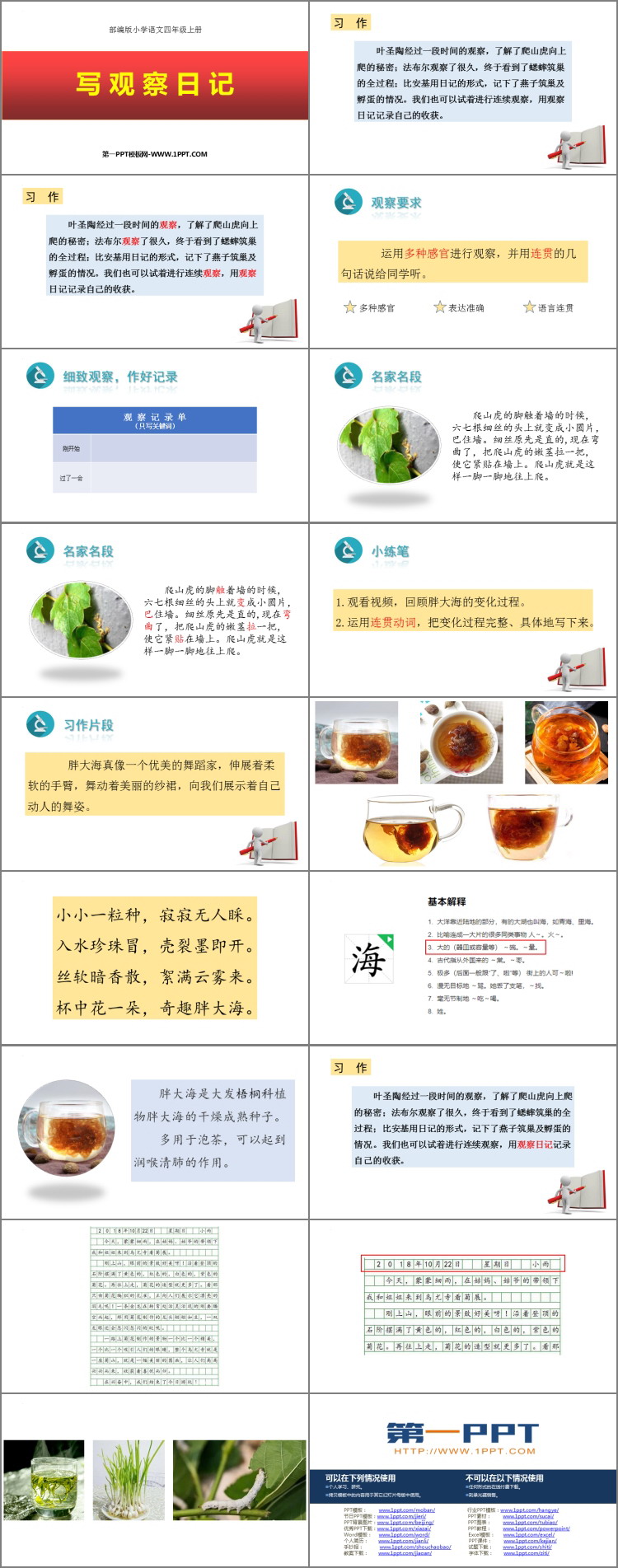 图片[2]-写观察日记-第一PPT
