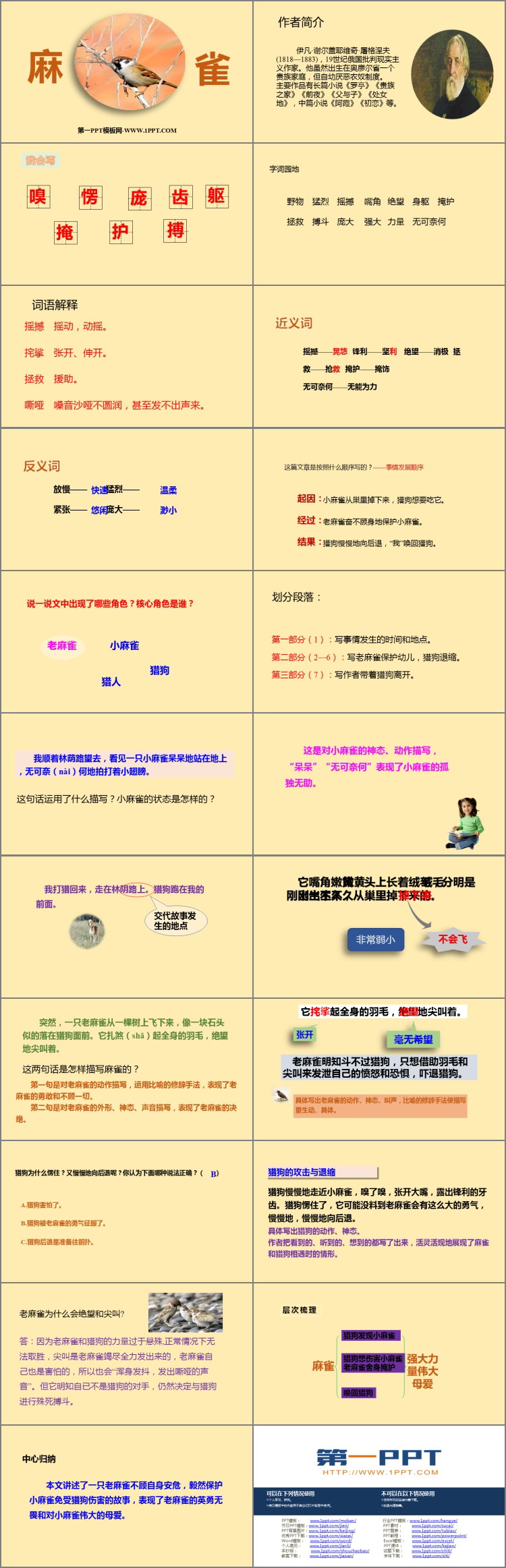 图片[2]-《麻雀》PPT优秀课件下载-第一PPT