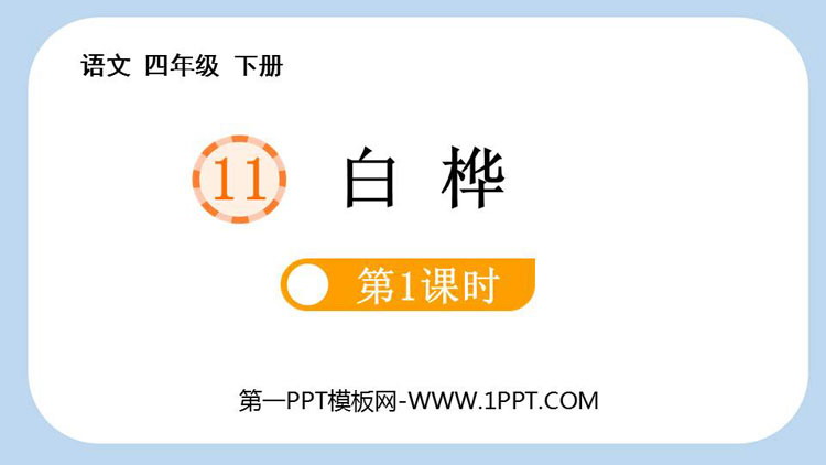 图片[1]-《白桦》PPT免费课件(第1课时)-第一PPT