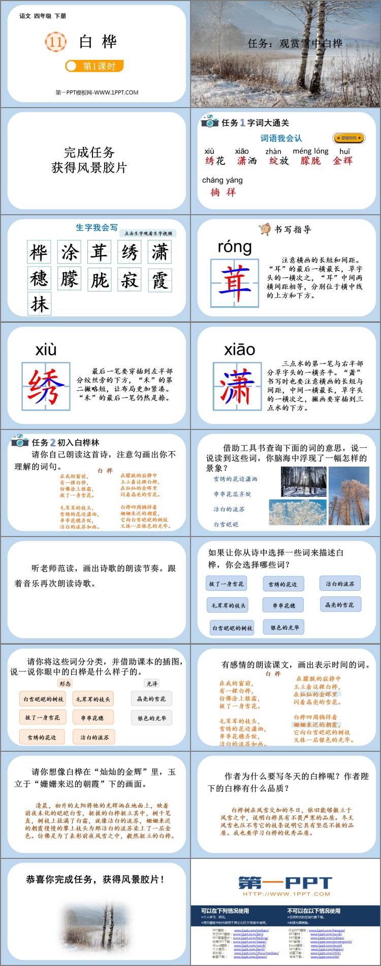 图片[2]-《白桦》PPT免费课件(第1课时)-第一PPT