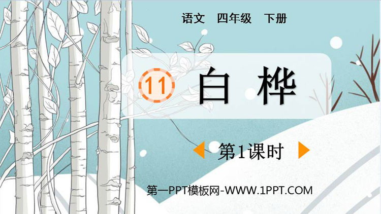 图片[1]-《白桦》PPT免费下载(第1课时)-第一PPT