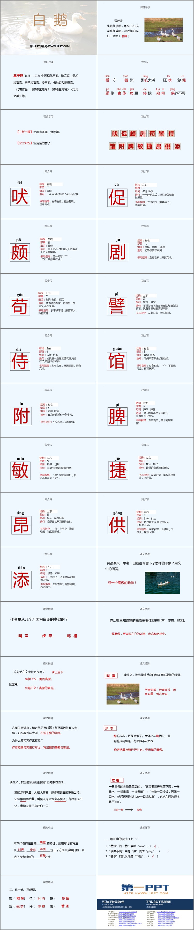 图片[2]-《白鹅》PPT优秀课件-第一PPT