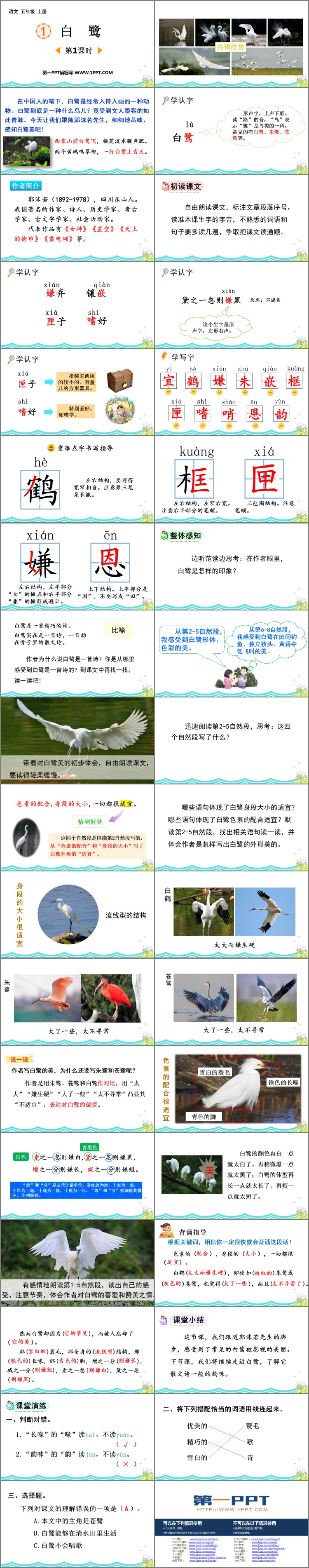 图片[2]-《白鹭》PPT免费课件(第1课时)-第一PPT