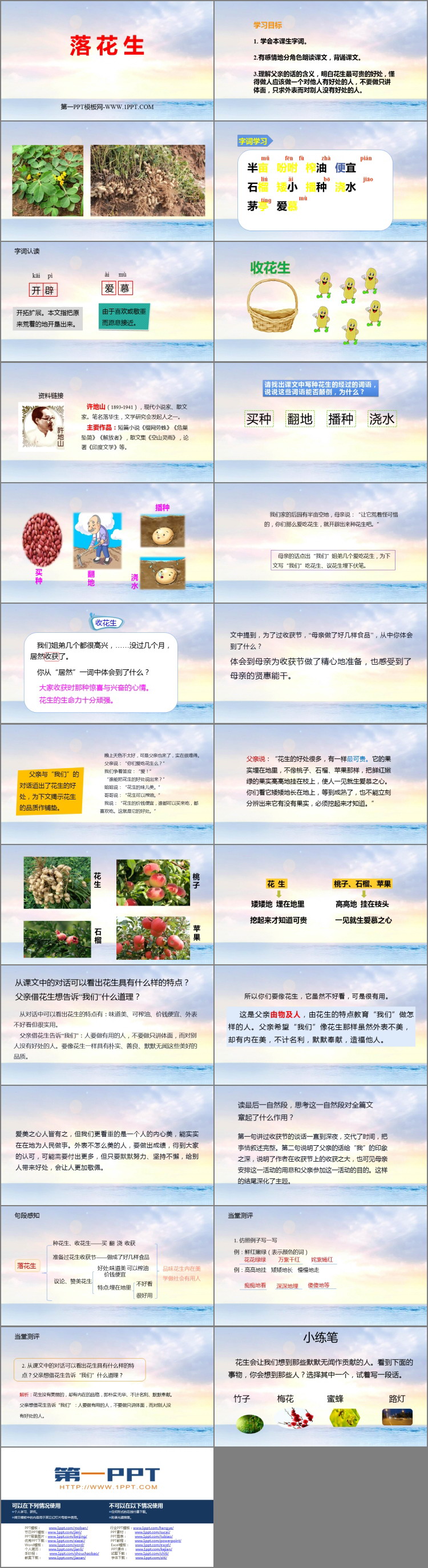 图片[2]-《落花生》PPT免费优质课件-第一PPT