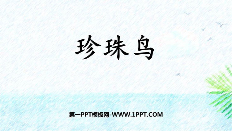图片[1]-《珍珠鸟》PPT优秀免费课件-第一PPT