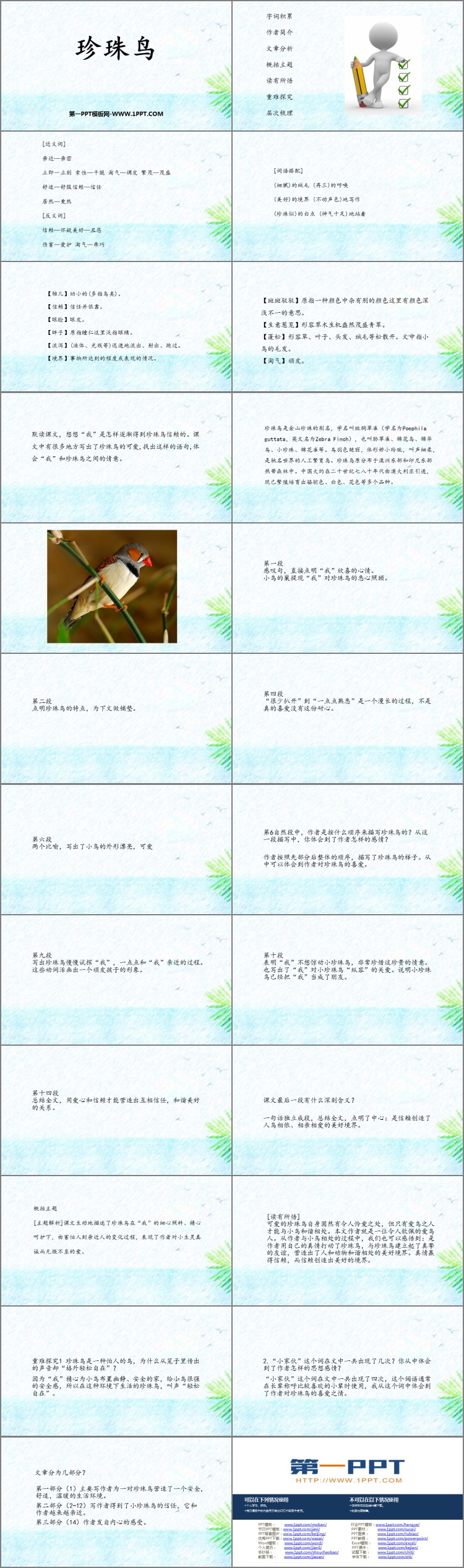 图片[2]-《珍珠鸟》PPT优秀免费课件-第一PPT