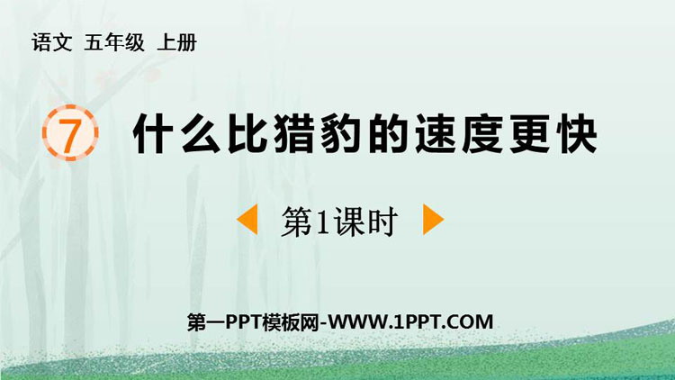 图片[1]-什么比猎豹的速度更快-第一PPT