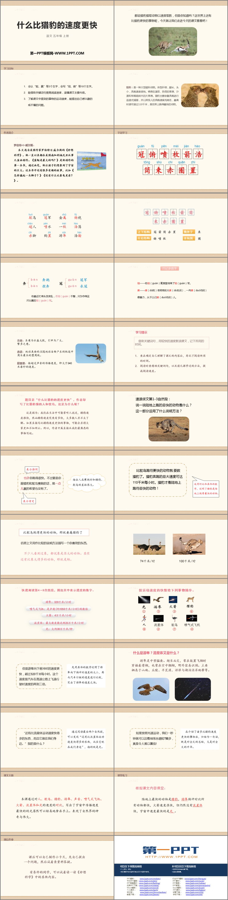 图片[2]-什么比猎豹的速度更快-第一PPT