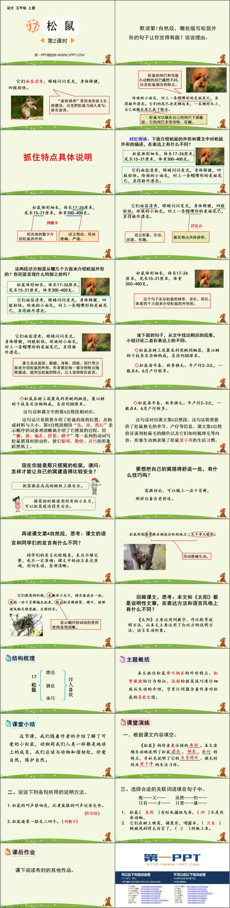 图片[2]-《松鼠》PPT下载(第2课时)-第一PPT