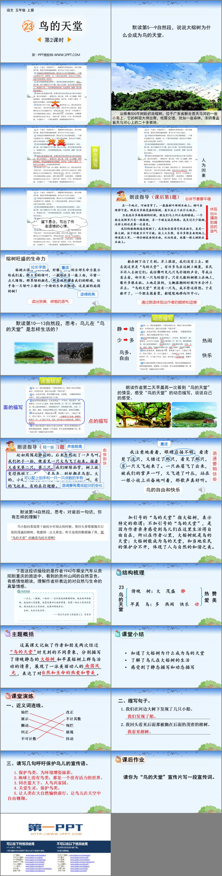 图片[2]-《鸟的天堂》PPT下载(第2课时)-第一PPT