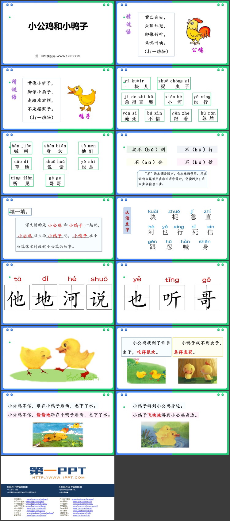 图片[2]-《小公鸡和小鸭子》PPT精品教学课件-第一PPT