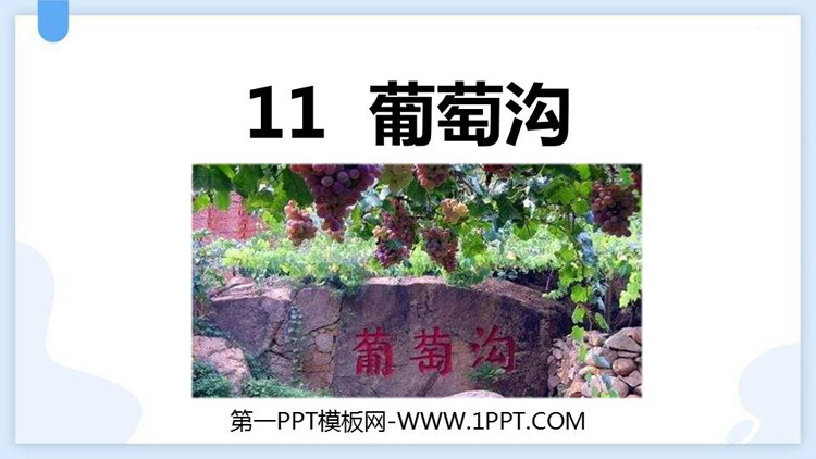 图片[1]-《葡萄沟》PPT精品免费课件-第一PPT