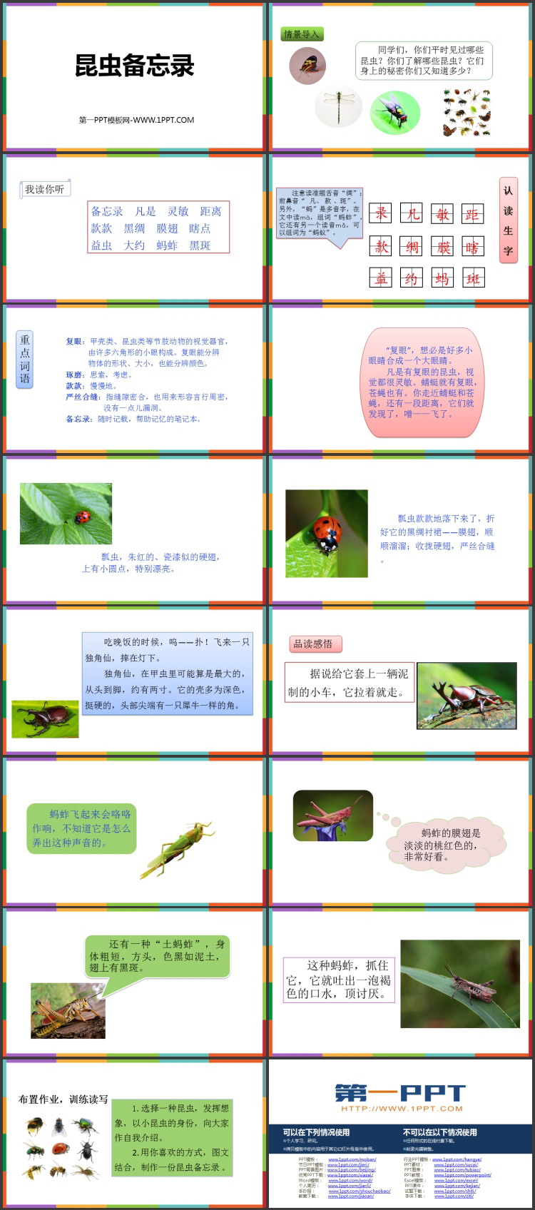 图片[2]-《昆虫备忘录》PPT优秀教学课件-第一PPT