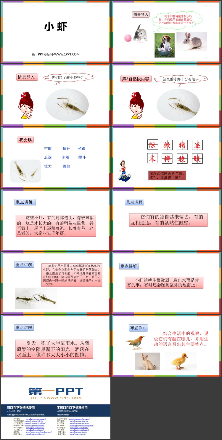 图片[2]-《小虾》PPT精品教学课件-第一PPT