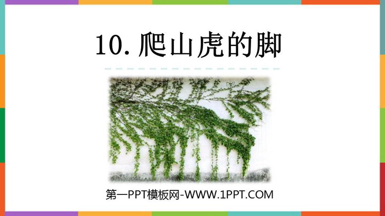 图片[1]-《爬山虎的脚》PPT免费课件下载-第一PPT
