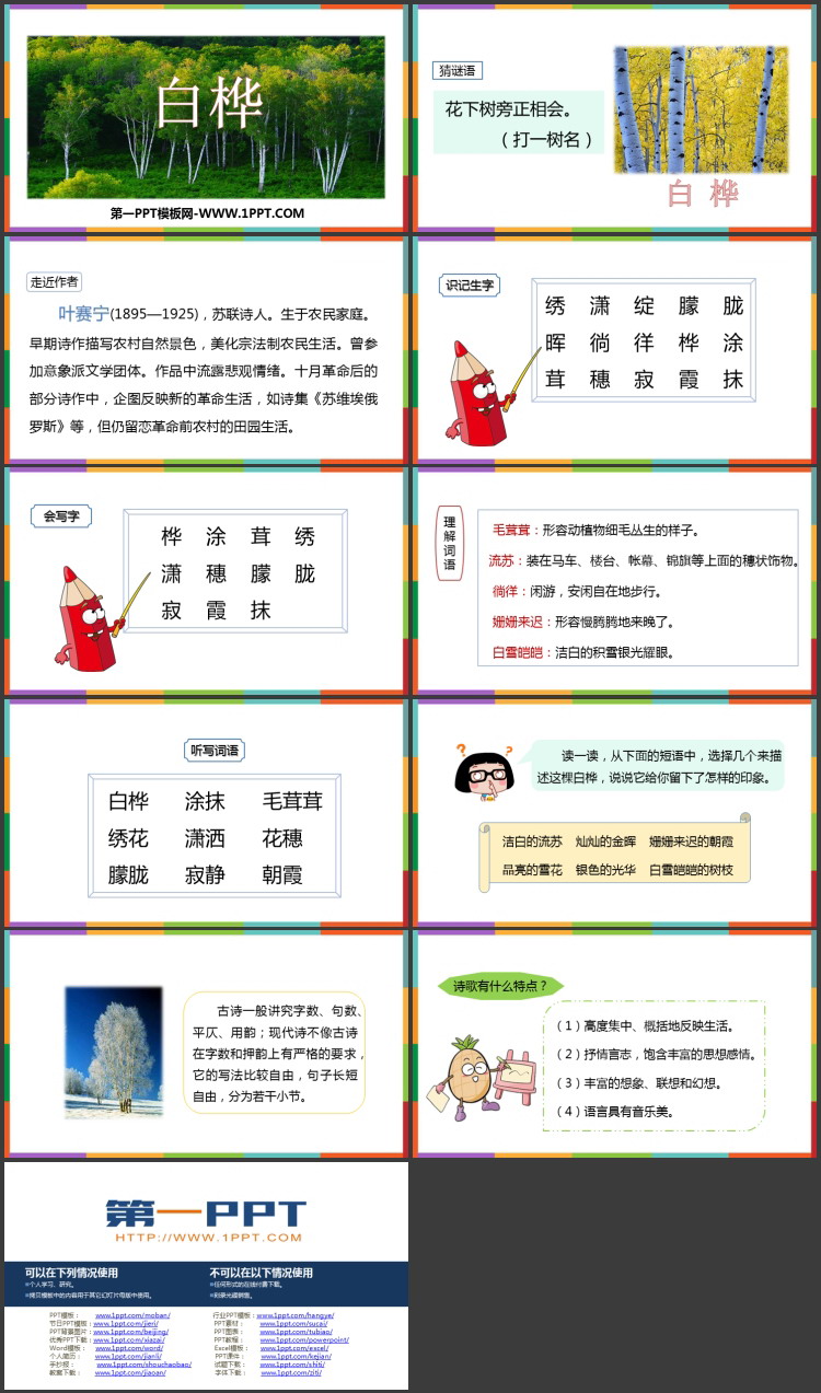 图片[2]-《白桦》PPT免费课件下载-第一PPT