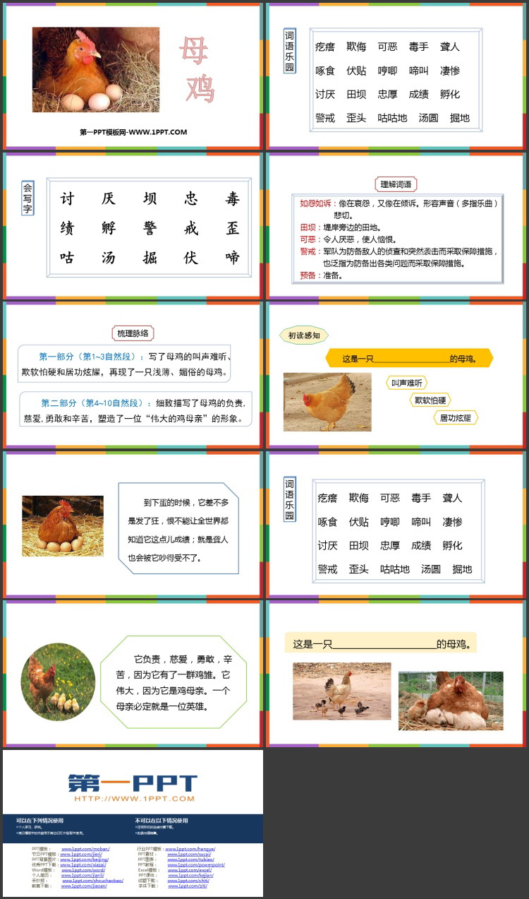 图片[2]-母鸡-第一PPT