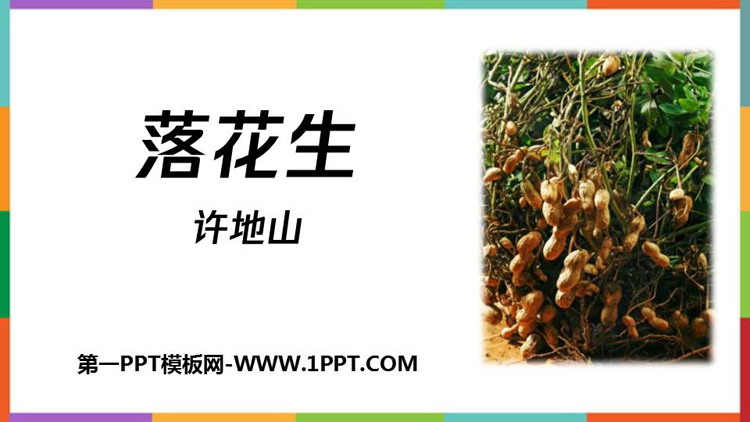 图片[1]-《落花生》PPT精品免费课件-第一PPT