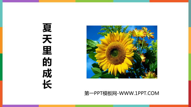 图片[1]-六年级上册-第一PPT