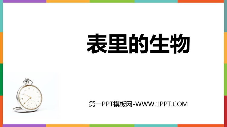 图片[1]-《表里的生物》PPT教学课件下载-第一PPT