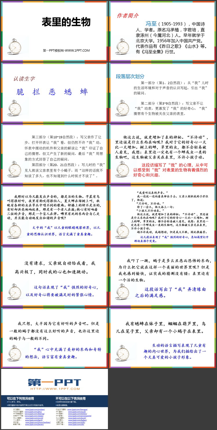 图片[2]-《表里的生物》PPT教学课件下载-第一PPT