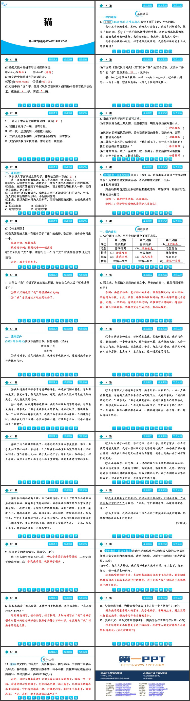 图片[2]-《猫》PPT精品教学课件下载-第一PPT