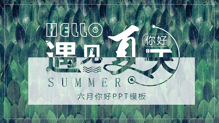 图片[1]-清新绿色树叶背景遇见夏天PPT模板下载-第一PPT