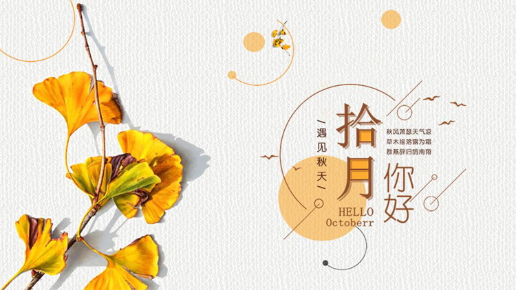 图片[1]-秋天的银杏叶背景“拾月你好”PPT模板-第一PPT