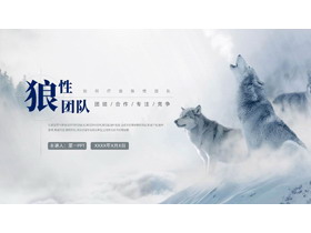 狼群背景如何打造狼性团队PPT模板下载-第一PPT