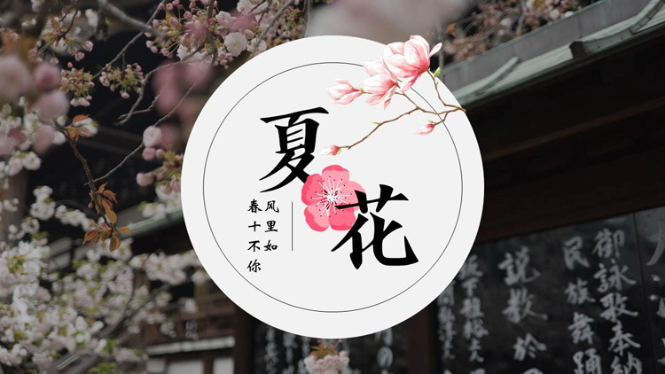 图片[1]-精美梅花背景的中国风“夏花”PPT模板-第一PPT