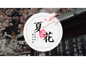 精美梅花背景的中国风“夏花”PPT模板-第一PPT