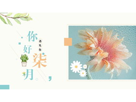 蓝色精美花卉背景的“你好柒月”商务汇报PPT模板-第一PPT