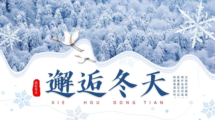 图片[1]-蓝色森林雪景背景的“邂逅冬天”冬日主题PPT模板-第一PPT