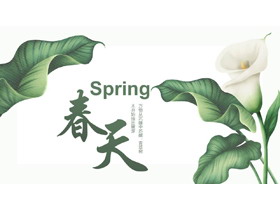 绿色清新花卉树叶背景的春天主题通用商务汇报PPT模板-第一PPT