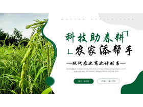 绿色麦穗背景的“科技助春耕农家添帮手”现代农业商业计划书PPT模板-第一PPT