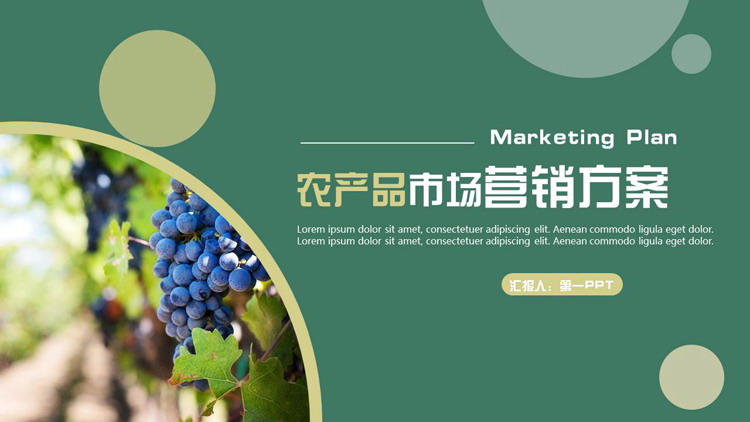 图片[1]-绿色葡萄背景农产品市场营销方案PPT模板-第一PPT