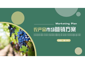 绿色葡萄背景农产品市场营销方案PPT模板-第一PPT