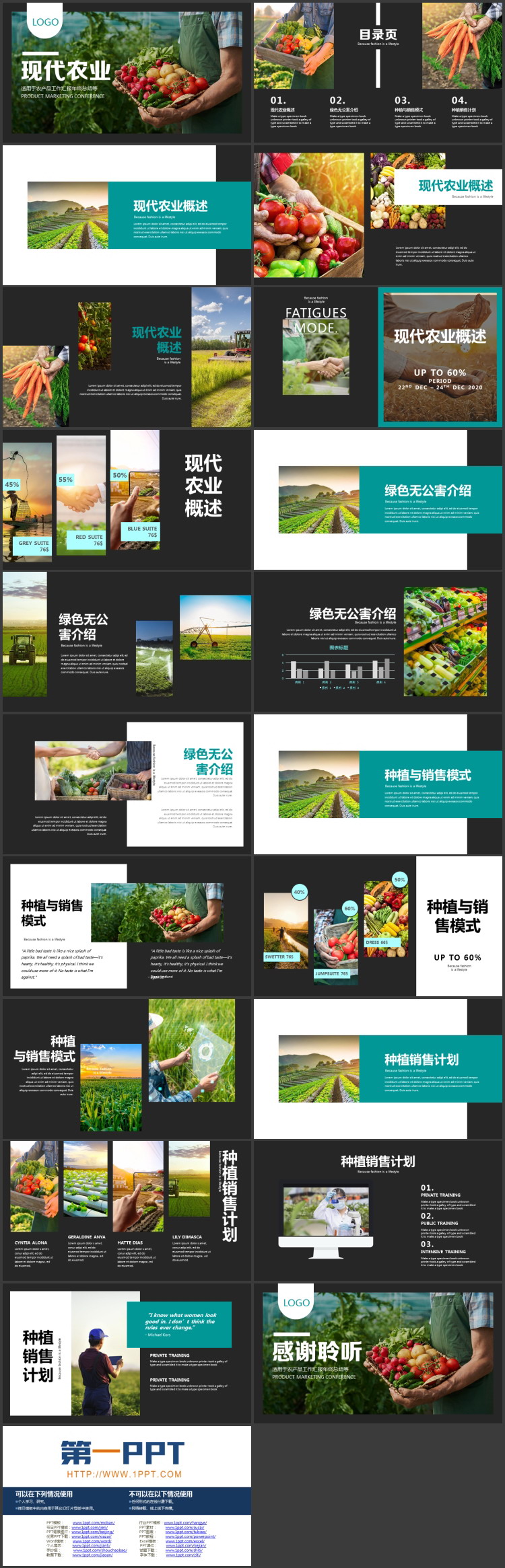 图片[2]-黑色手捧蔬菜的农民背景现代农业主题PPT模板-第一PPT