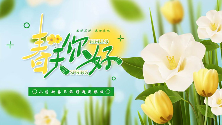 图片[1]-精美花卉背景的小清新“春天你好”通用PPT模板-第一PPT